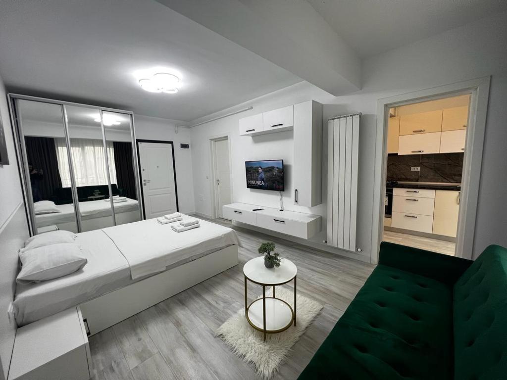 Urban Apartments And Studios - City Center Iasi Exterior photo